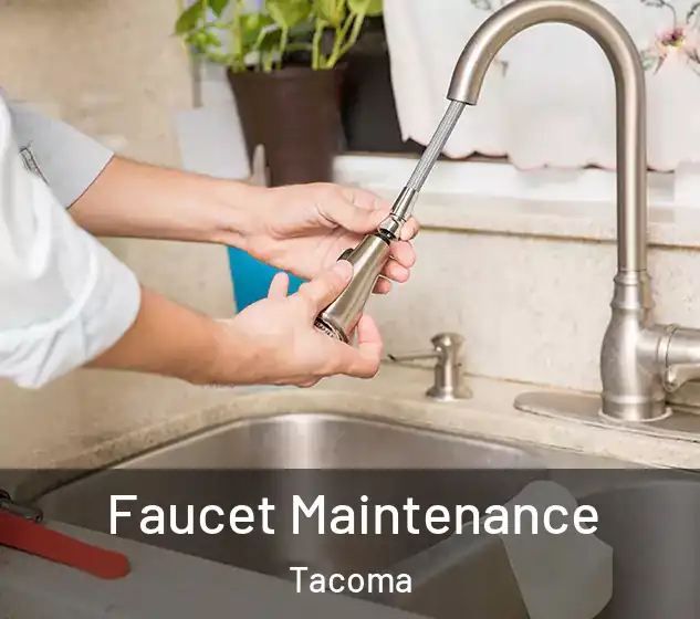  Faucet Maintenance Tacoma