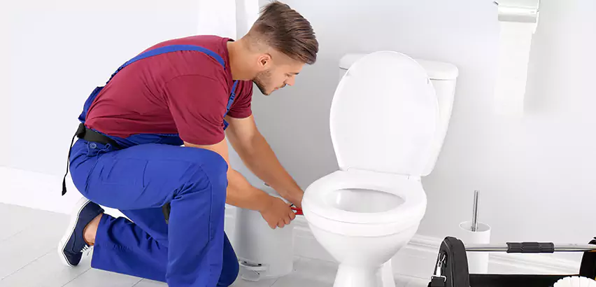 Scope of Bathroom Toilet Bowl Replacement Services in Tacoma, WA
