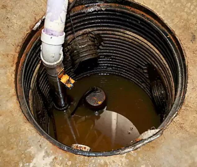 Meet Our Local Tacoma, WA Plumbing Team