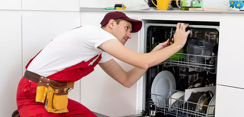 Scope of Kitchen Dishwasher Installation Services in Tacoma, WA