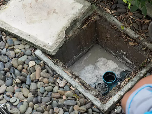 Why Tacoma Plumbing Co is the First Choice for Kitchen Grease Trap Cleaning Services in Tacoma, WA?