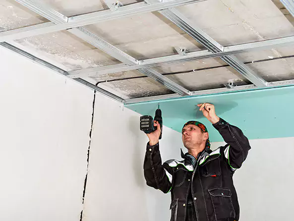 Why Tacoma Plumbing Co is the First Choice for Roof & Ceiling Leak Detection Services in Tacoma, WA?