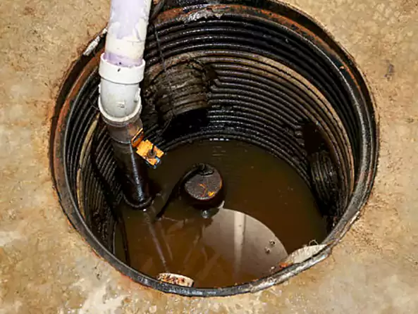 Why Tacoma Plumbing Co is the First Choice for Sump Pump Maintenance Services in Tacoma, WA?