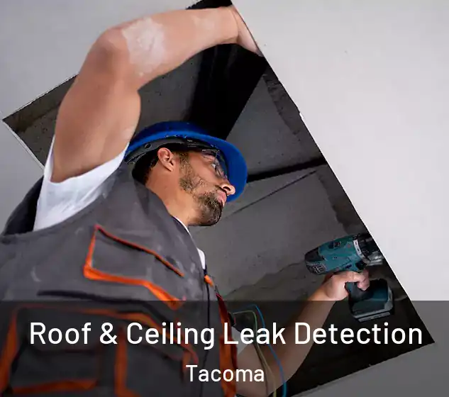  Roof & Ceiling Leak Detection Tacoma