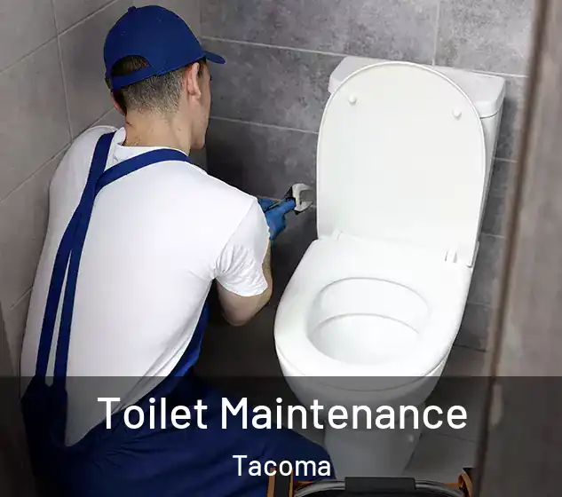  Toilet Maintenance Tacoma